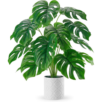 Blumencompany Der Rose Kunstpflanze 71 cm für Boho Deko