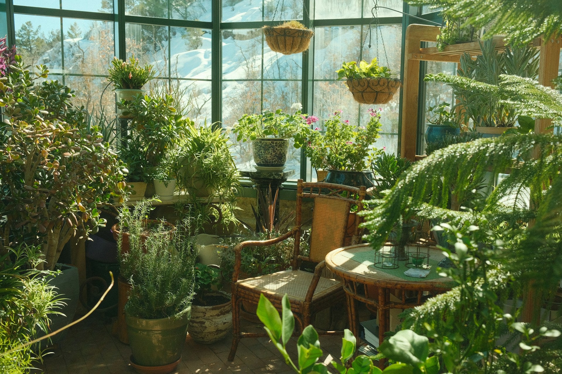 collection-banner-image